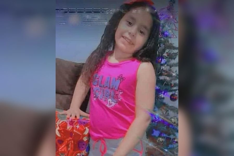 Menina de 8 anos e padrasto morrem em acidente na PR-092 em Andirá 2 destaque 8
