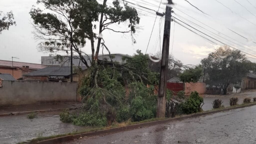 Temporal causa prejuízos em Sertanópolis e na zona rural de Londrina 2 destacada 14