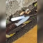destacada 18 1