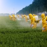 sh agrotoxico 547553083