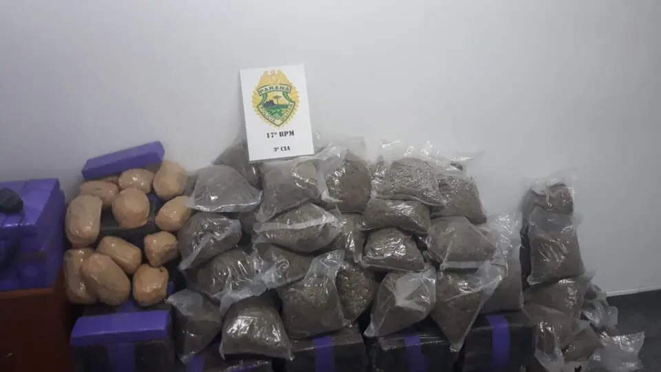 apreensao maconha