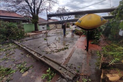 312589406 5390700317722310 6757669277964238606 n