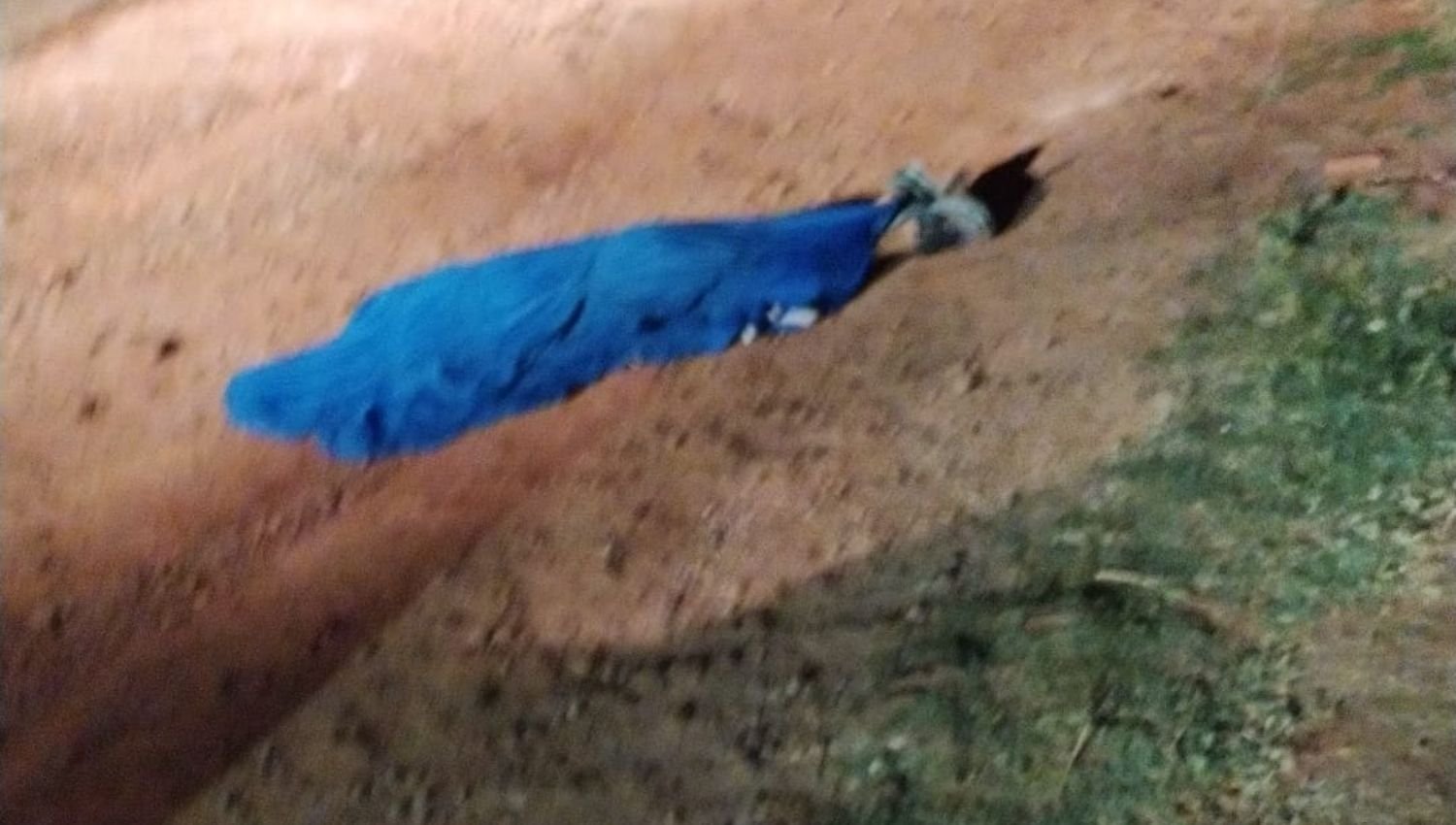 IMG24H 1200 × 650 px 17