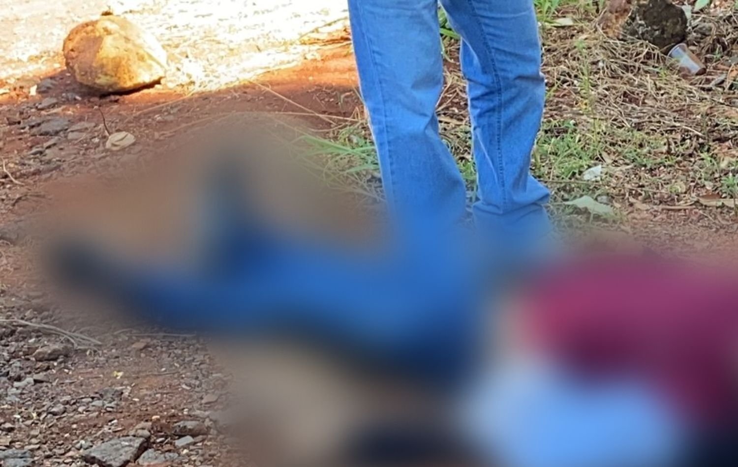 IMG24H 1200 × 650 px 99