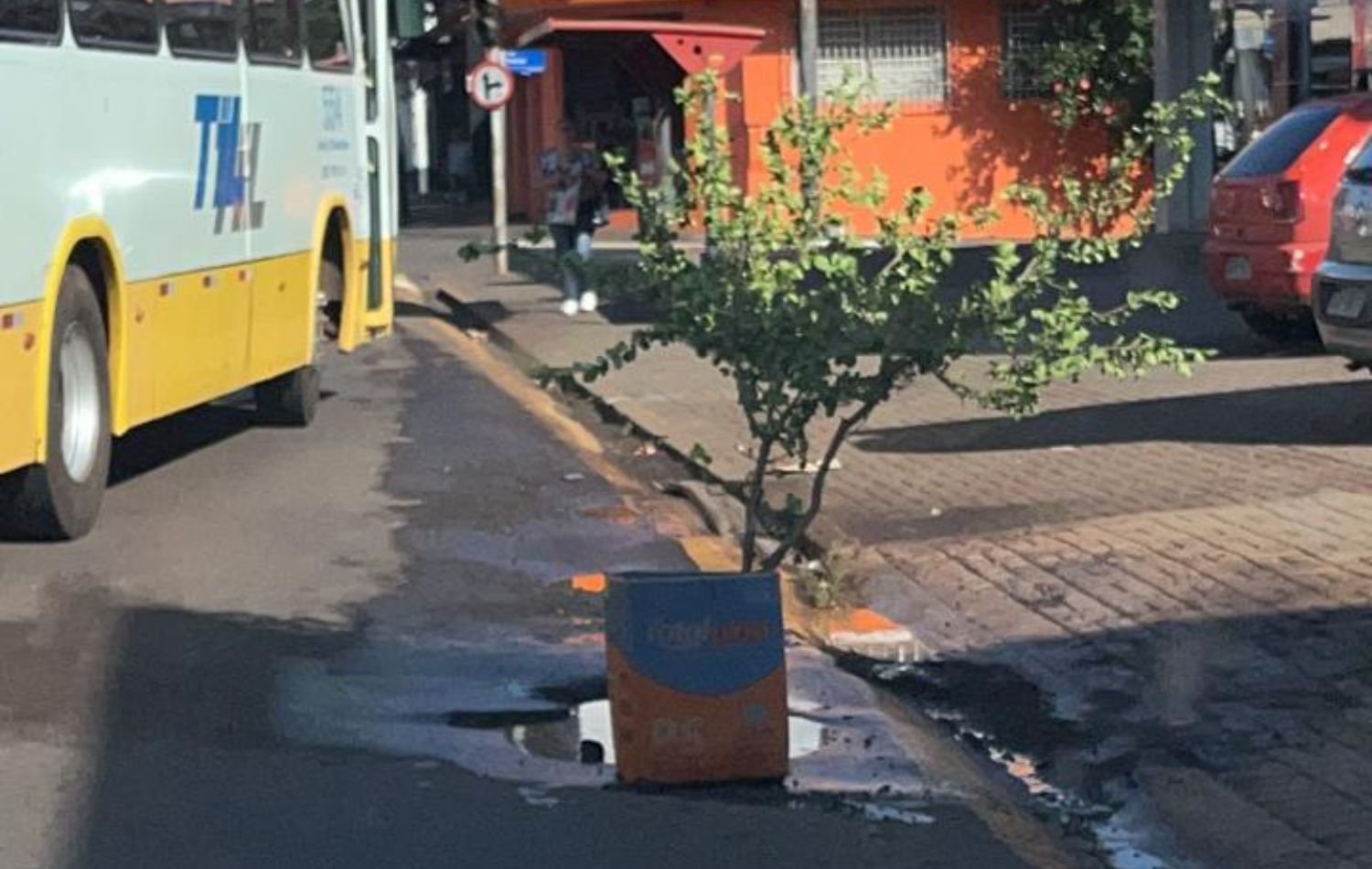 IMG24H 1200 × 650 px 2023 02 06T131011.097