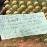 IMG24H 1200 × 650 px 2023 03 23T163540.494