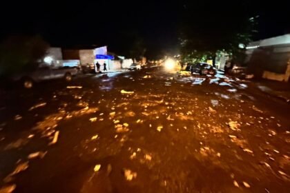 WhatsApp Image 2023 03 15 at 07.26.23