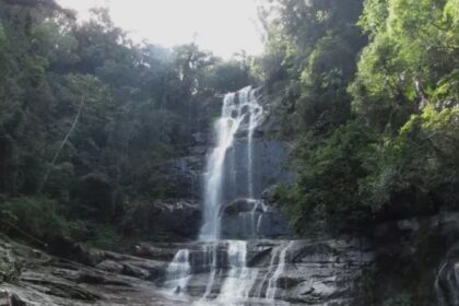 mulher salto dos macacos