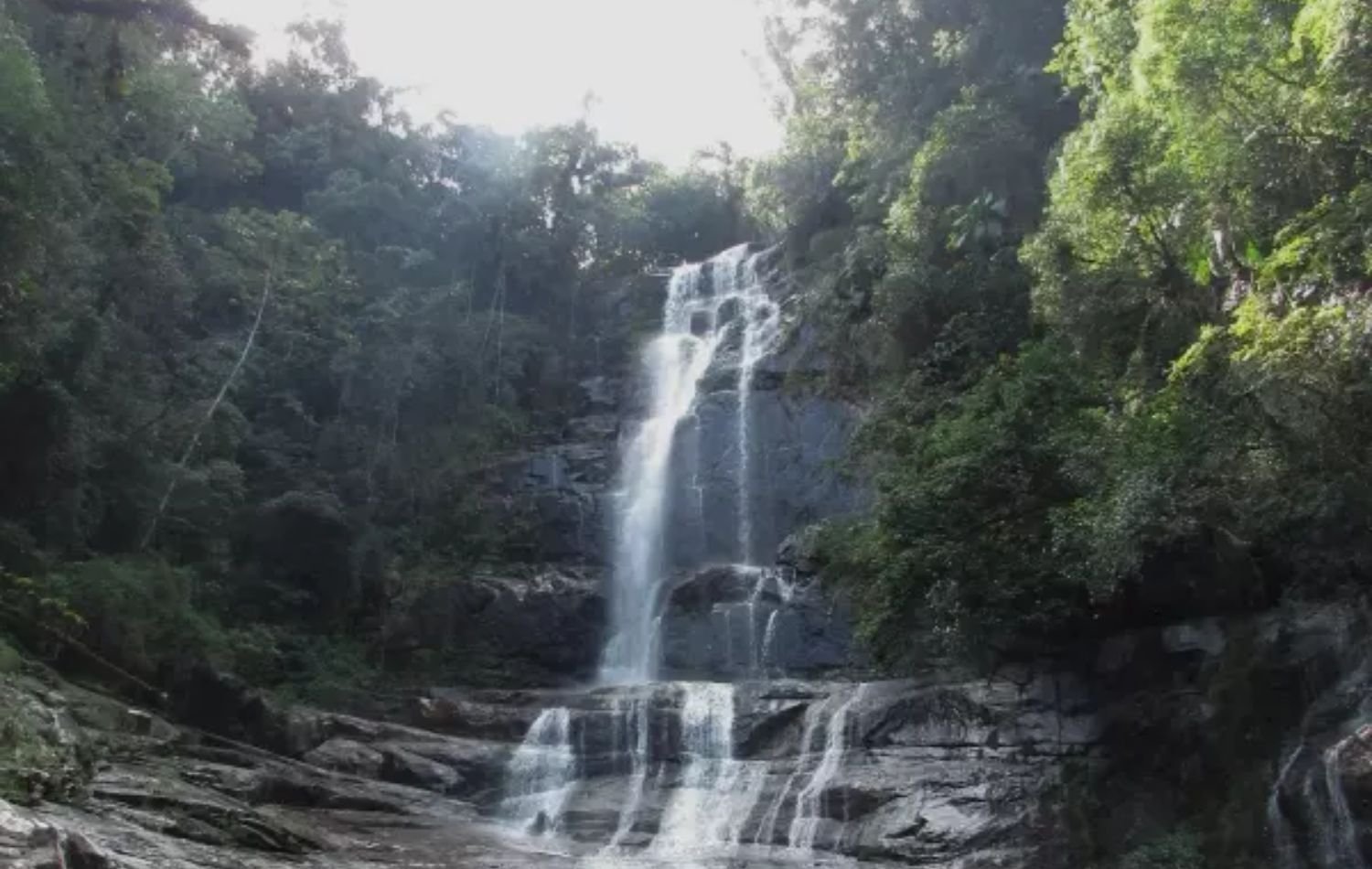 mulher salto dos macacos