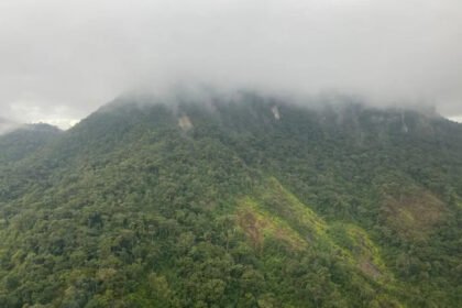 whatsapp image 2023 07 03 at 18.28.44 1