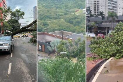 Destaques 2023 12 02T193917.488