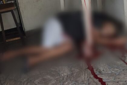 Destaques 2023 12 06T121359.562