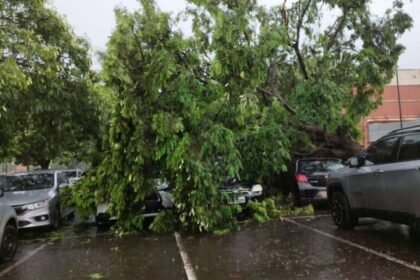 Destaques 2023 12 07T191618.337 1