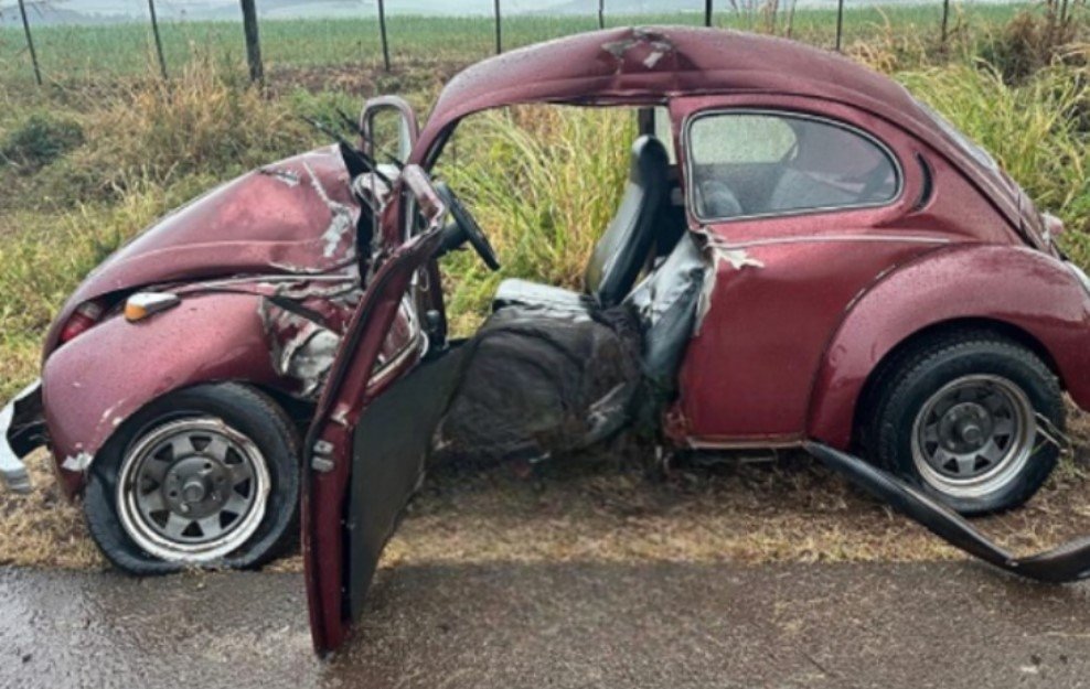 fusca