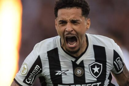 botafogo widelg