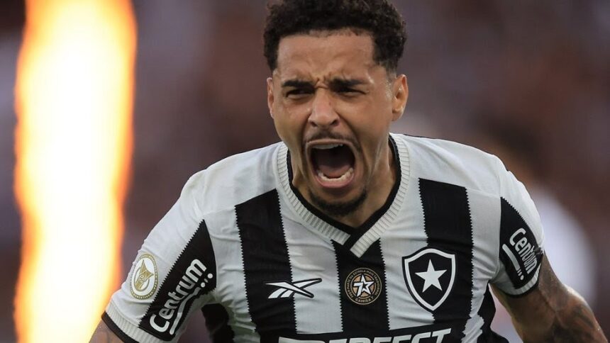 botafogo widelg