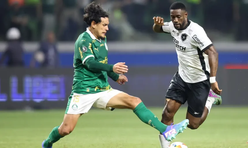 palmeiras x botafogo