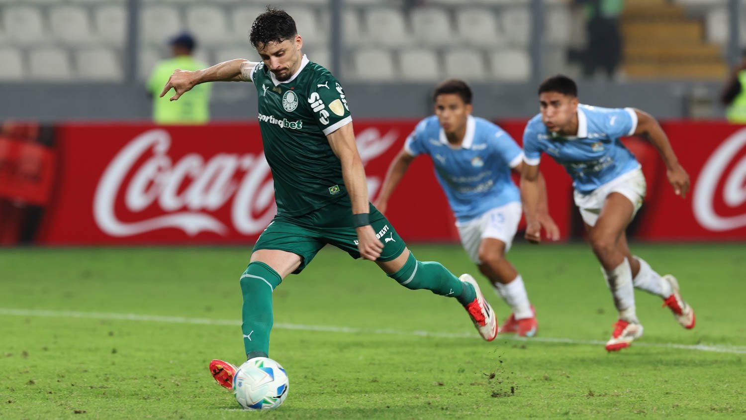 palmeiras